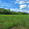 Działka Kamionka