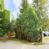 Lokal Świdnica