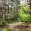 Działka Żółwieniec