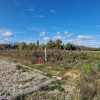 Działka Łódź Widzew, Nowosolna