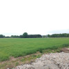 Działka Janów ul.  