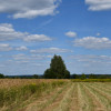 Działka rolna 43a - Strażów