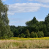 Działka rolna 43a - Strażów