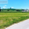 Działka Dąbrowno