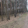 Działka Żarki-Letnisko