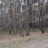 Działka Żarki-Letnisko