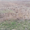 Działka Długołęka