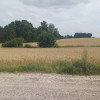 Działki budowlane w Żukowie