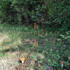DZIAŁKA ROLNA/INWESTYCYJNA| 6,58HA |BLISKO JEZIORA