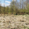 Działka Sułów
