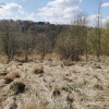 Działka Sułów