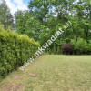 Dom 306 m² z dużą działką 3143 m²+budynki gościnne
