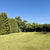 Dom Dawidy Bankowe ul. Starzyńskiego
