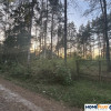 Działka budowlana w lesie blisko rzeki