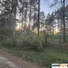 Działka budowlana w lesie blisko rzeki