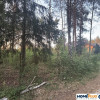 Działka budowlana w lesie blisko rzeki