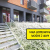 Lokal Wrocław Wrocław-Psie Pole, Lipa Piotrowska ul. Waniliowa