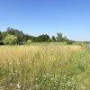 Działka Piotrkowice ul.  