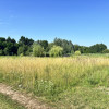 Działka Piotrkowice ul.  