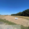Działka rolna 9 979 m² – Woźniki, gm. Lgota Wielka