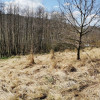 Działka Sułów