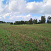 Przetarg - obręb Stary Wiec -działka niezabudowana