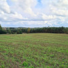Przetarg - obręb Stary Wiec -działka niezabudowana