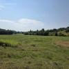 Działka Ryglice