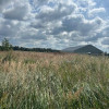Działka Ceków-Kolonia