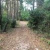 Działka Szałe
