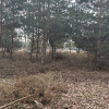 Sprzedam działkę w miejscowości Dębniak