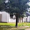Dom Miedniewice