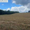 Działka Grabowska Huta