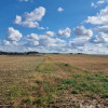 Działka Zawonia