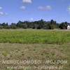 Działka Radziwiłłów