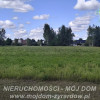 Działka Radziwiłłów