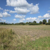 Działka Duchnów