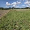 Działka Duchnów