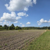 Działka Duchnów