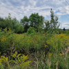 Działka Grodków