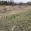 Działka Grodków