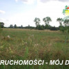 Działka Wiskitki