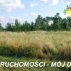 Działka Wiskitki