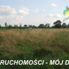Działka Wiskitki
