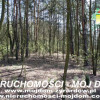 Działka Wycześniak