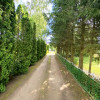 Lokal Orzysz Ogródek ul. Ogródek