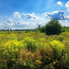 Działka Ełk Siedliska
