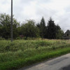 Działka Czerwonka ul. Topolowa