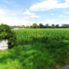 Szukalice, Żórawina, działka inwestycyjna 43,10 ha