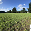 Działka Tuchola